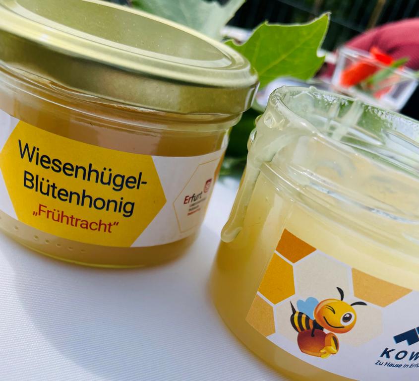 Idylle am Wiesenhügel